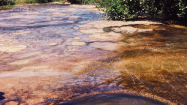 cañocristales